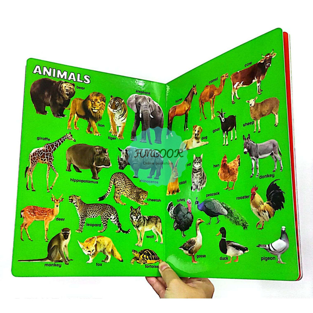 My Early Amazing Picture Book English Preschool Buku Bergambar Mind to Mind